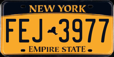 NY license plate FEJ3977
