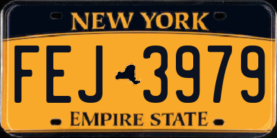 NY license plate FEJ3979
