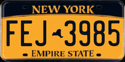 NY license plate FEJ3985