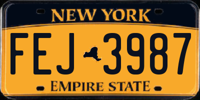 NY license plate FEJ3987