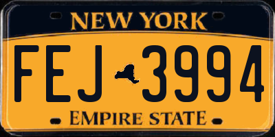 NY license plate FEJ3994