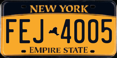NY license plate FEJ4005