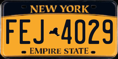 NY license plate FEJ4029