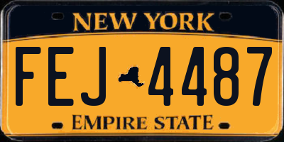 NY license plate FEJ4487