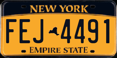 NY license plate FEJ4491