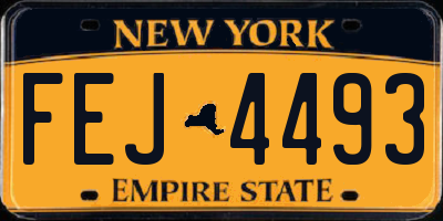 NY license plate FEJ4493