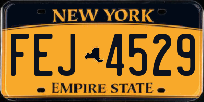NY license plate FEJ4529