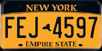 NY license plate FEJ4597