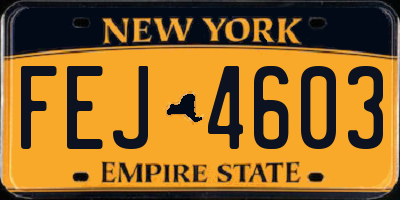 NY license plate FEJ4603