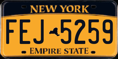 NY license plate FEJ5259