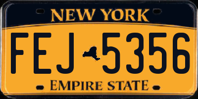 NY license plate FEJ5356