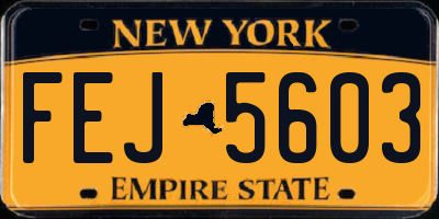NY license plate FEJ5603