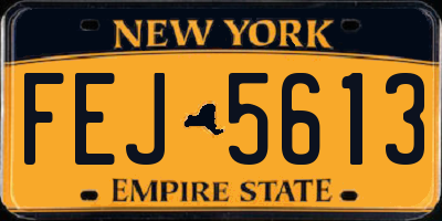 NY license plate FEJ5613