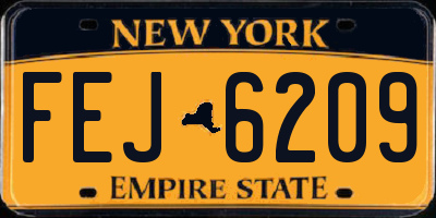 NY license plate FEJ6209