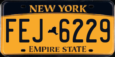 NY license plate FEJ6229