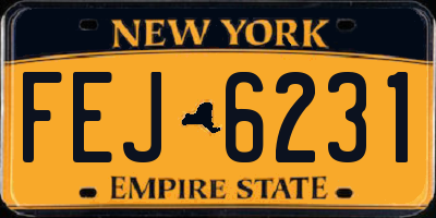 NY license plate FEJ6231