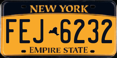 NY license plate FEJ6232