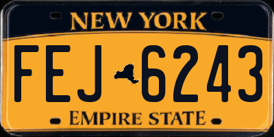 NY license plate FEJ6243