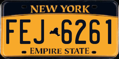 NY license plate FEJ6261