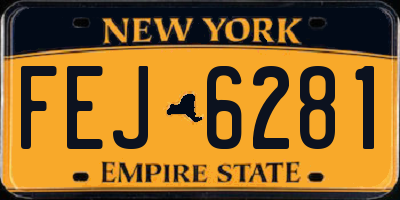 NY license plate FEJ6281