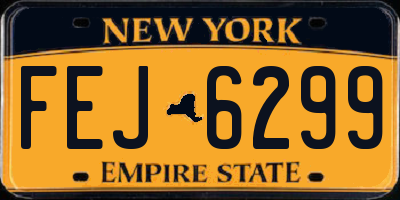 NY license plate FEJ6299