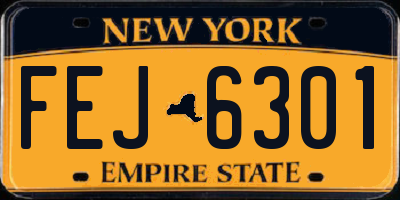 NY license plate FEJ6301