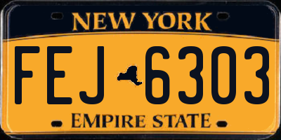NY license plate FEJ6303