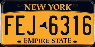 NY license plate FEJ6316