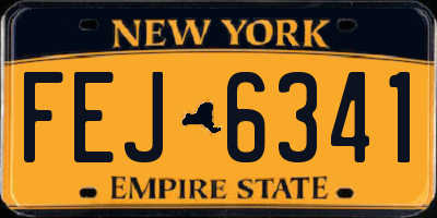 NY license plate FEJ6341