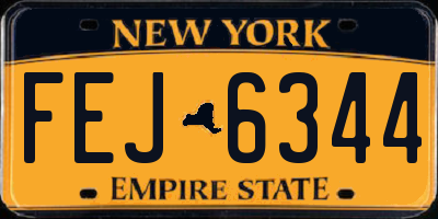 NY license plate FEJ6344