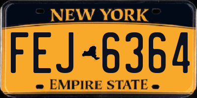 NY license plate FEJ6364