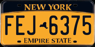 NY license plate FEJ6375