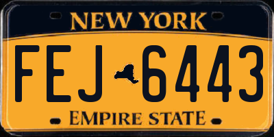 NY license plate FEJ6443