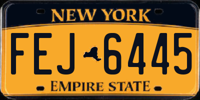 NY license plate FEJ6445