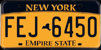 NY license plate FEJ6450