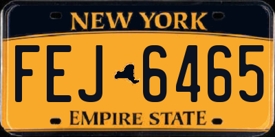 NY license plate FEJ6465