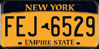 NY license plate FEJ6529