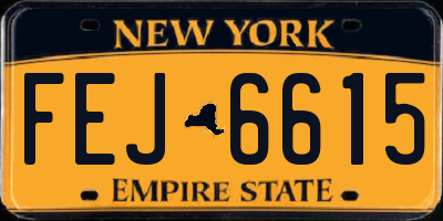 NY license plate FEJ6615