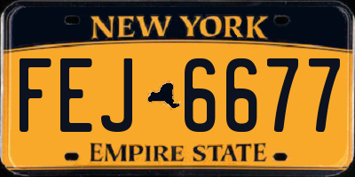 NY license plate FEJ6677