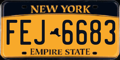 NY license plate FEJ6683