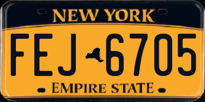 NY license plate FEJ6705
