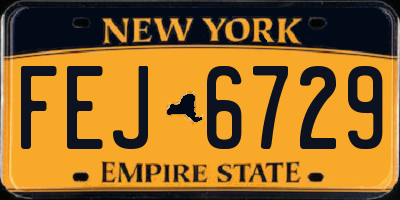 NY license plate FEJ6729