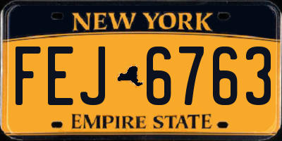 NY license plate FEJ6763