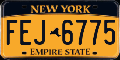 NY license plate FEJ6775