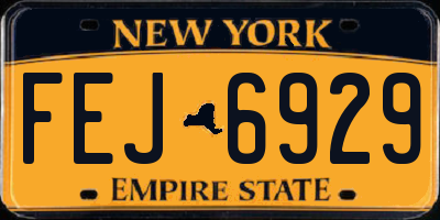 NY license plate FEJ6929