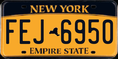 NY license plate FEJ6950