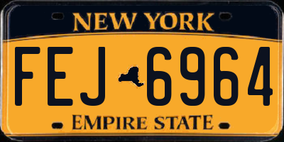 NY license plate FEJ6964