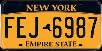 NY license plate FEJ6987