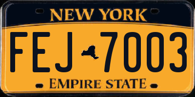 NY license plate FEJ7003