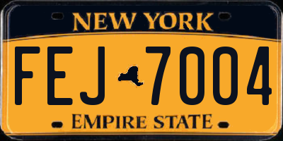 NY license plate FEJ7004